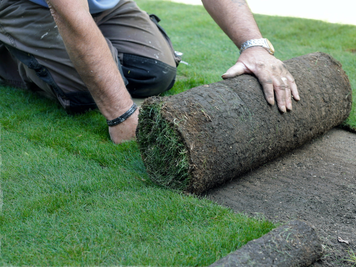 Including Turf Turf and How to Lay it – Lancaster's Home and Garden