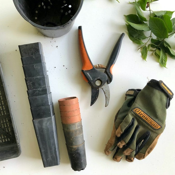 Garden Tools + Essentials