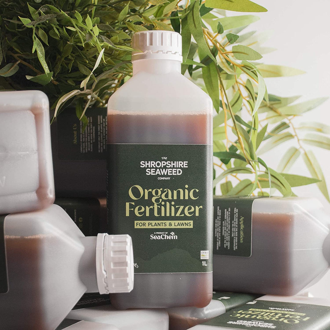 seaweed fertilizer for curry leaf plant Shropshire Seaweed Liquid Fertiliser (1L) – Lancaster's Home and Garden